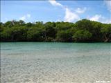 Punta Ballena - GUÁNICA